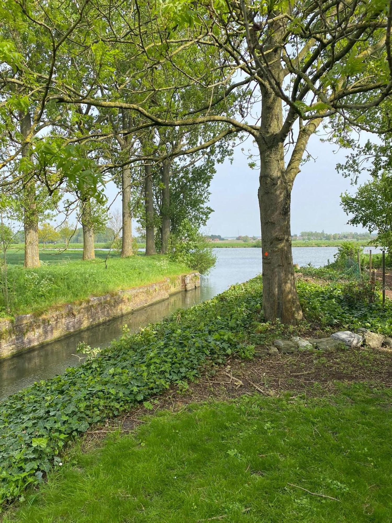 Huisje Aan De Schelde Spiere Zewnętrze zdjęcie